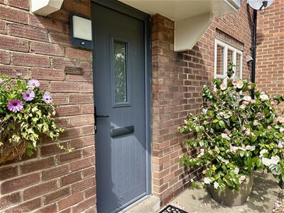 Picture 26